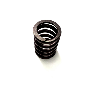 463739 VALVE SPRINGS.